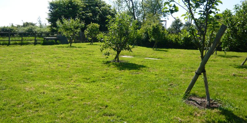 Picnic orchard at Redhouse Farm Bed & Breakfast near Lincoln